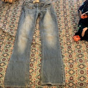 Hollister Bootcut Jeans